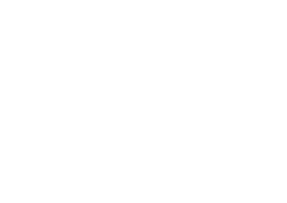 United-nations logo