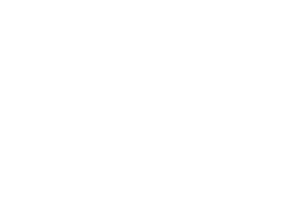 Wyze-pay logo